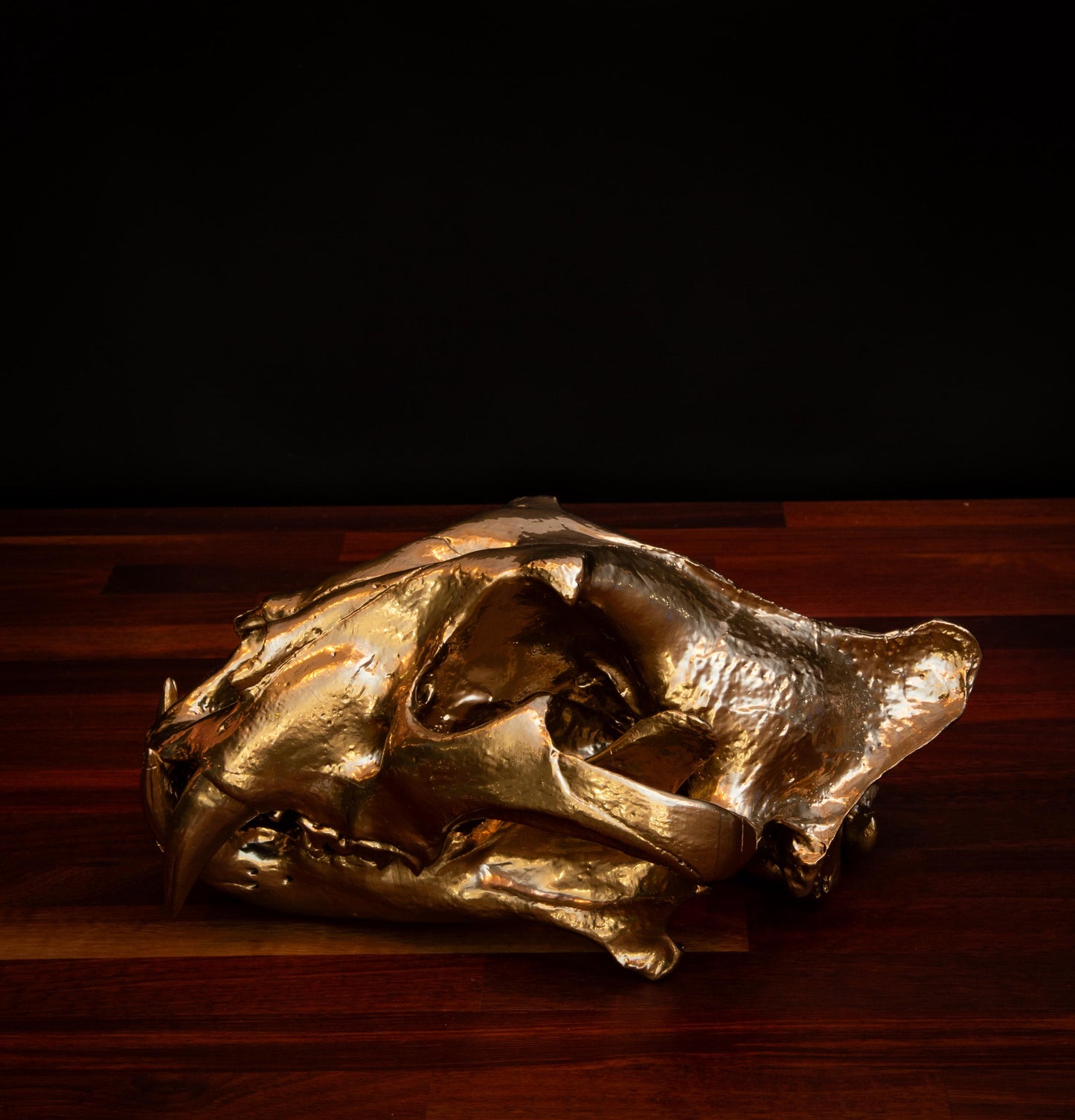 Gold Tiger Skull Replica – Full-Sized Decorative Display Piece