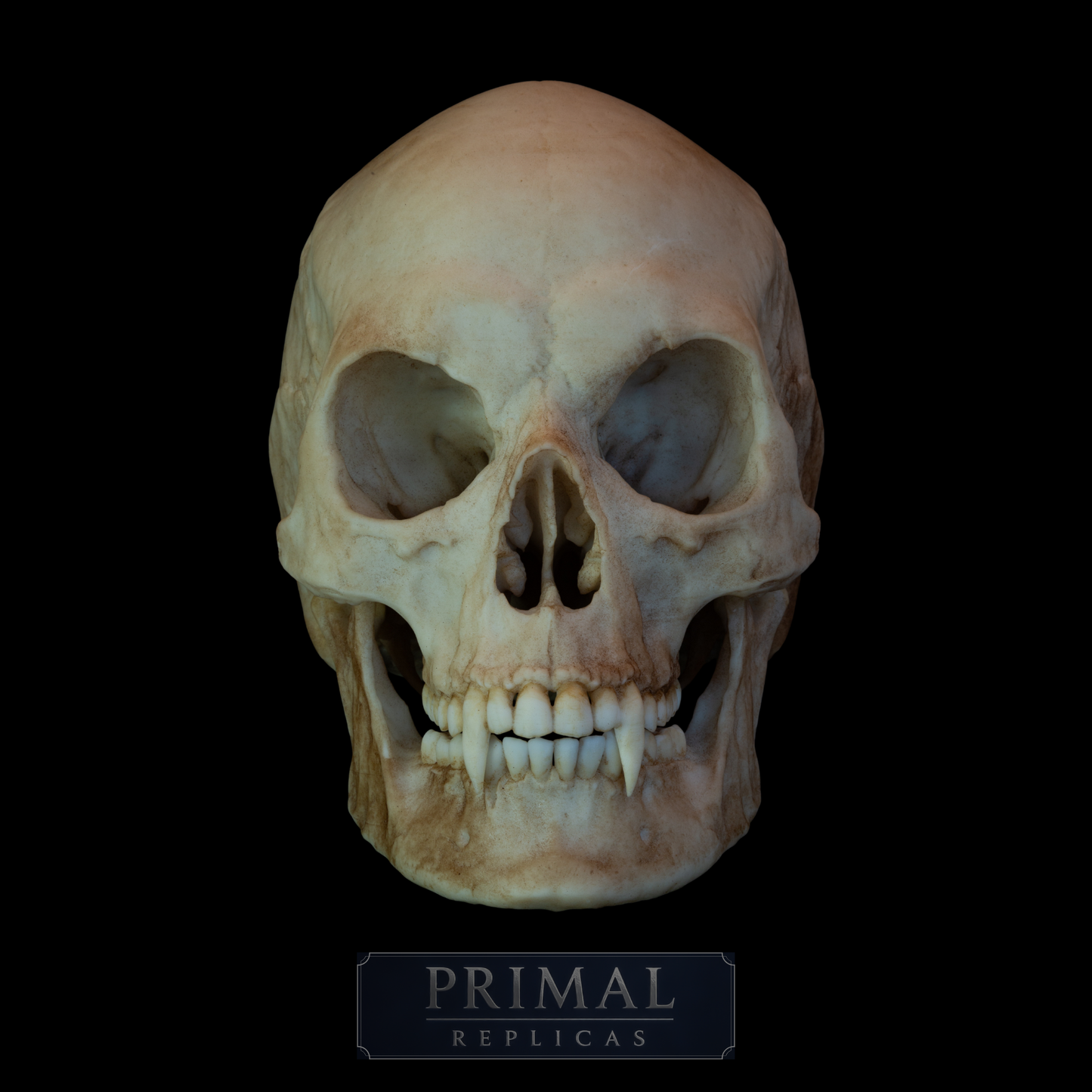 Vampire Skull Replica – Life-Sized Mythical Display Piece