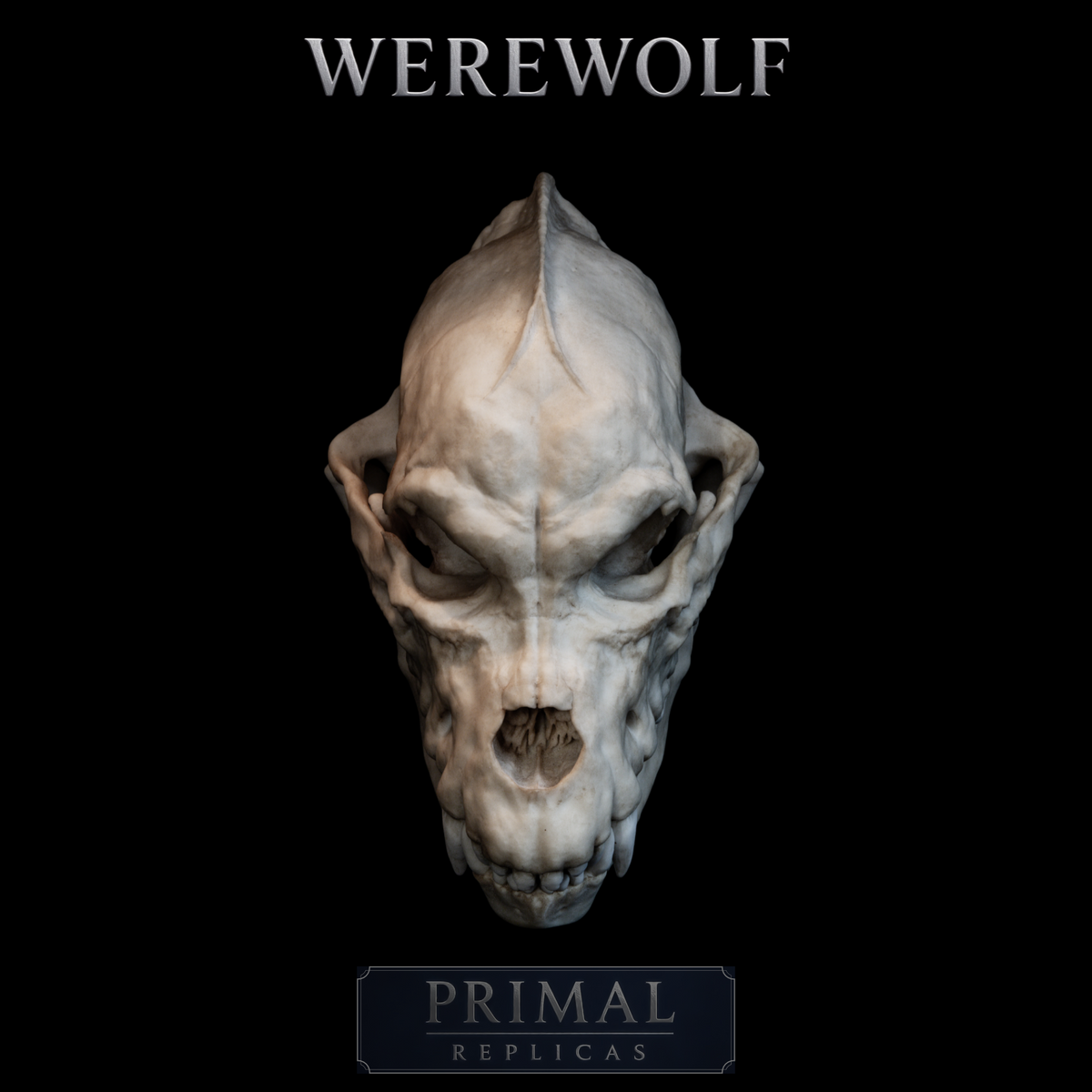 Werewolf Skull Replica – Life-Sized Mythical Display Piece
