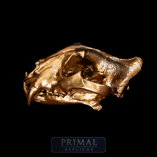 Gold Tiger Skull Replica – Full-Sized Decorative Display Piece