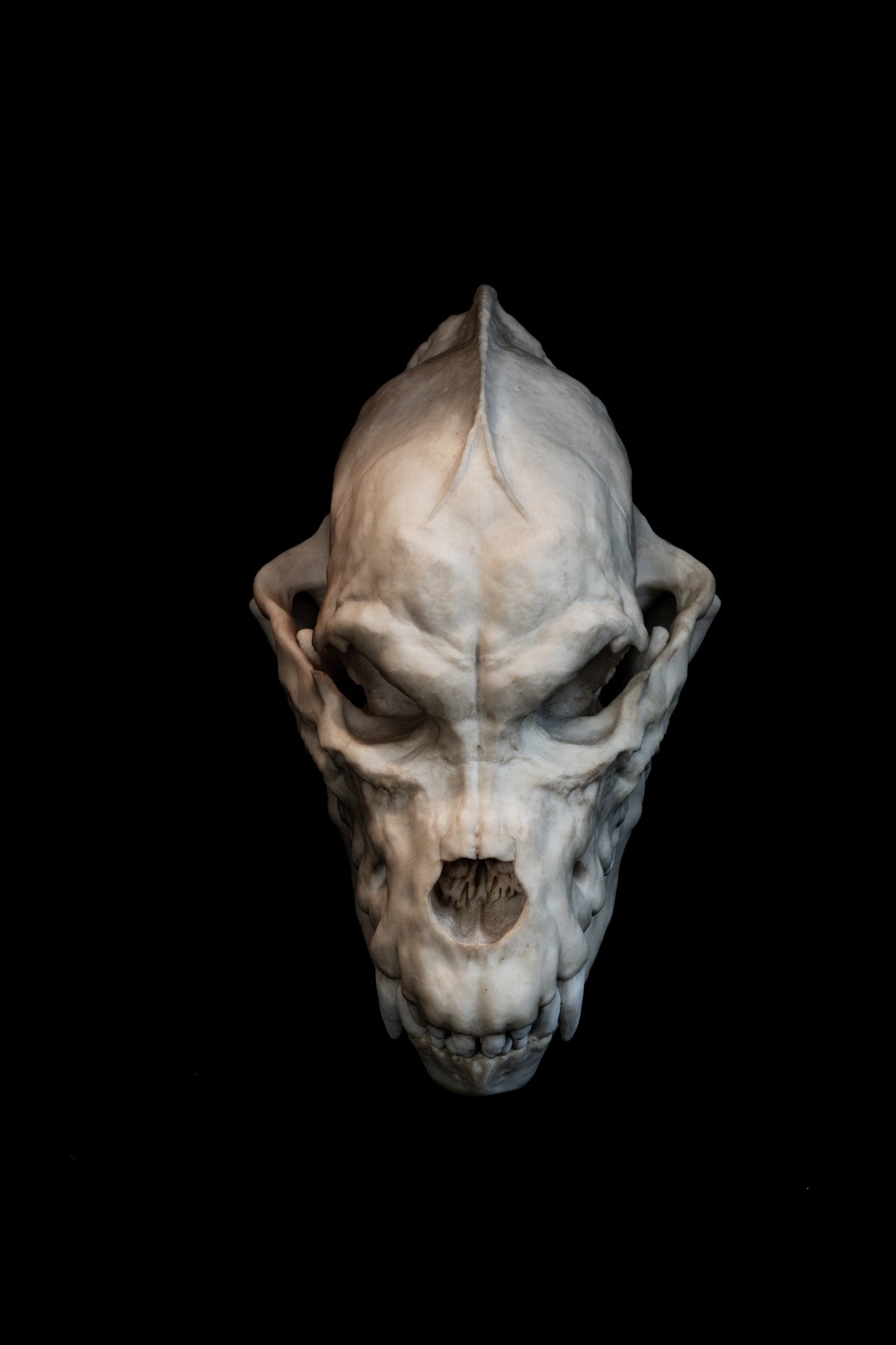 Werewolf Skull Replica – Life-Sized Mythical Display Piece