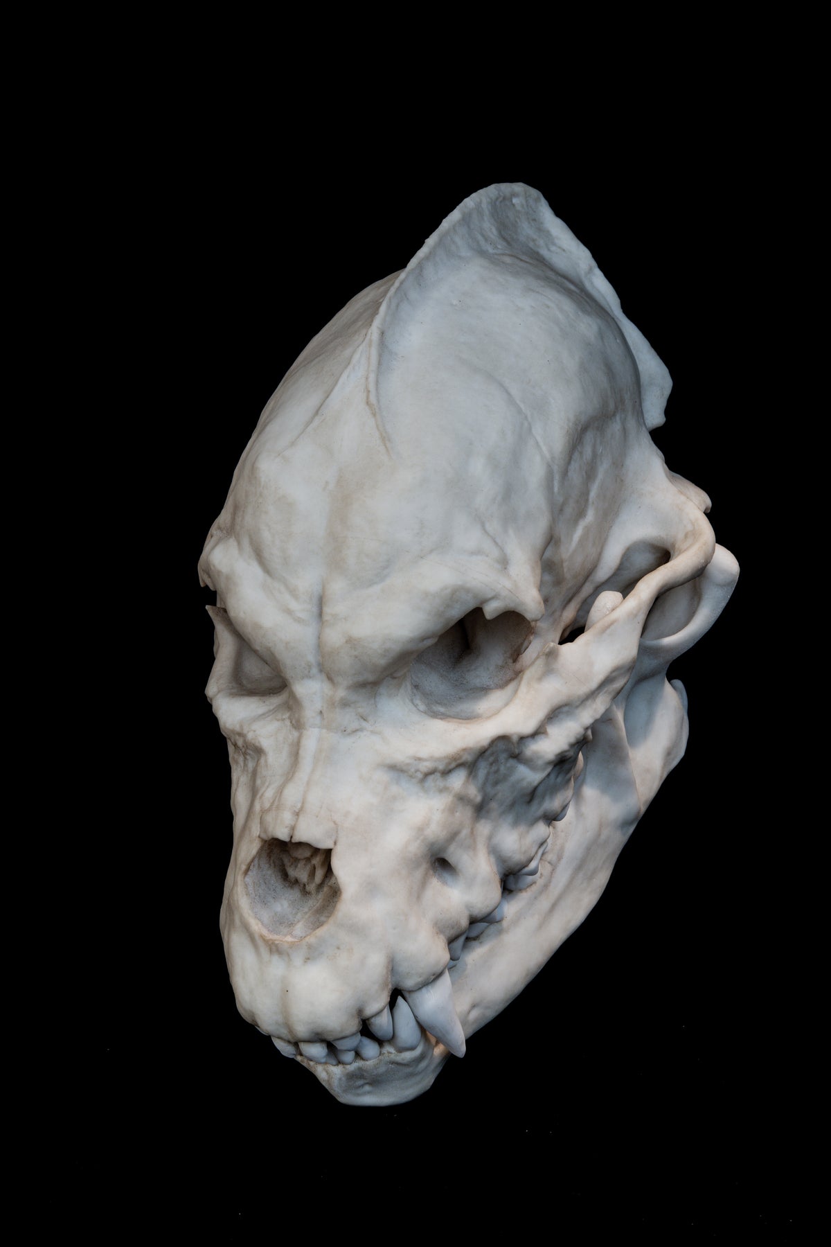 Werewolf Skull Replica – Life-Sized Mythical Display Piece
