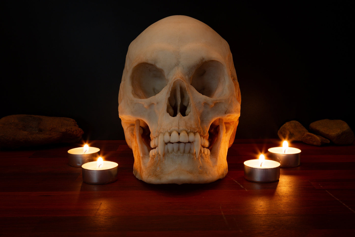 Vampire Skull Replica – Life-Sized Mythical Display Piece