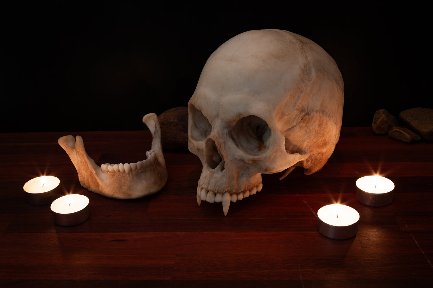 Vampire Skull Replica – Life-Sized Mythical Display Piece