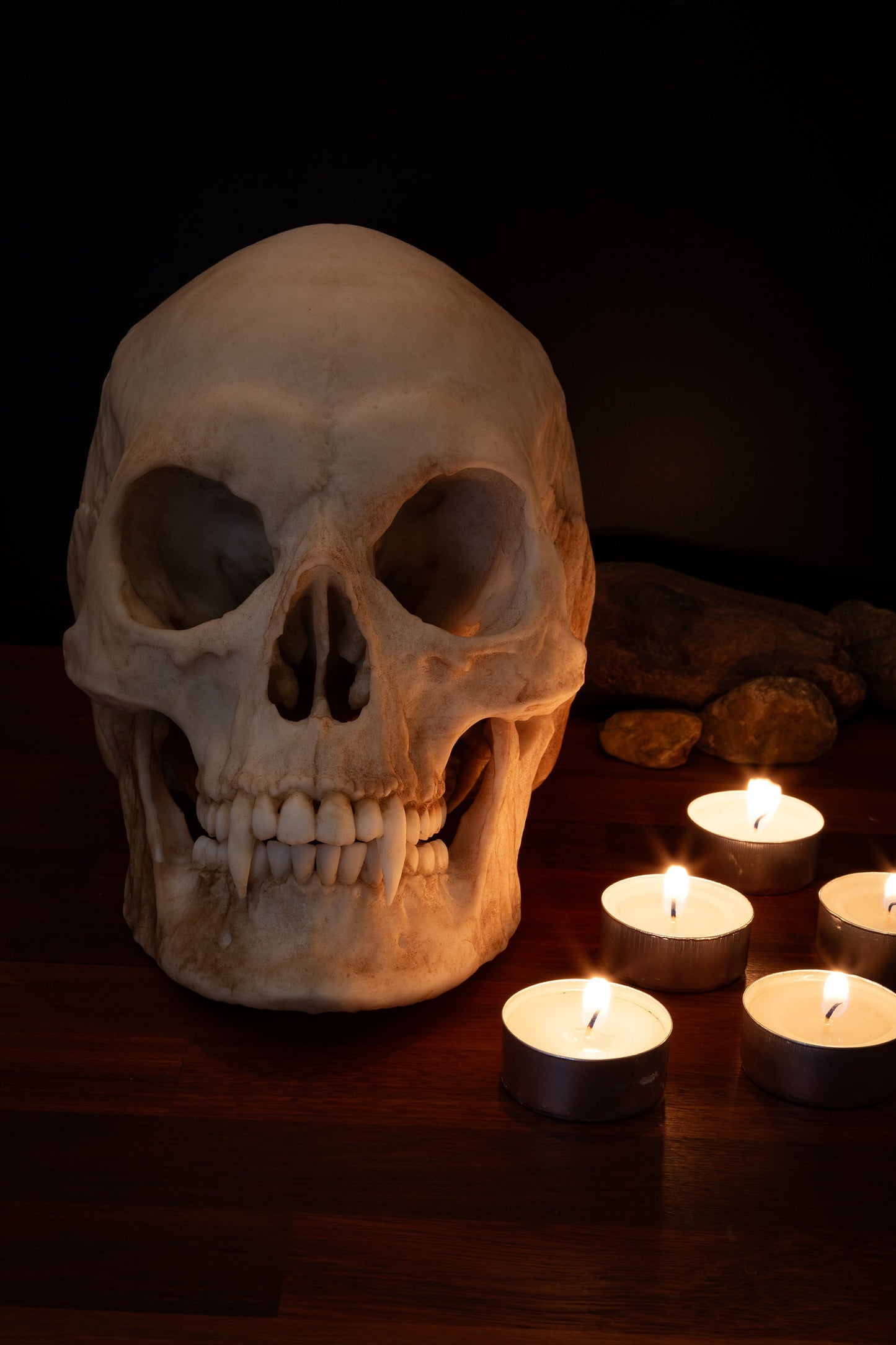 Vampire Skull Replica – Life-Sized Mythical Display Piece