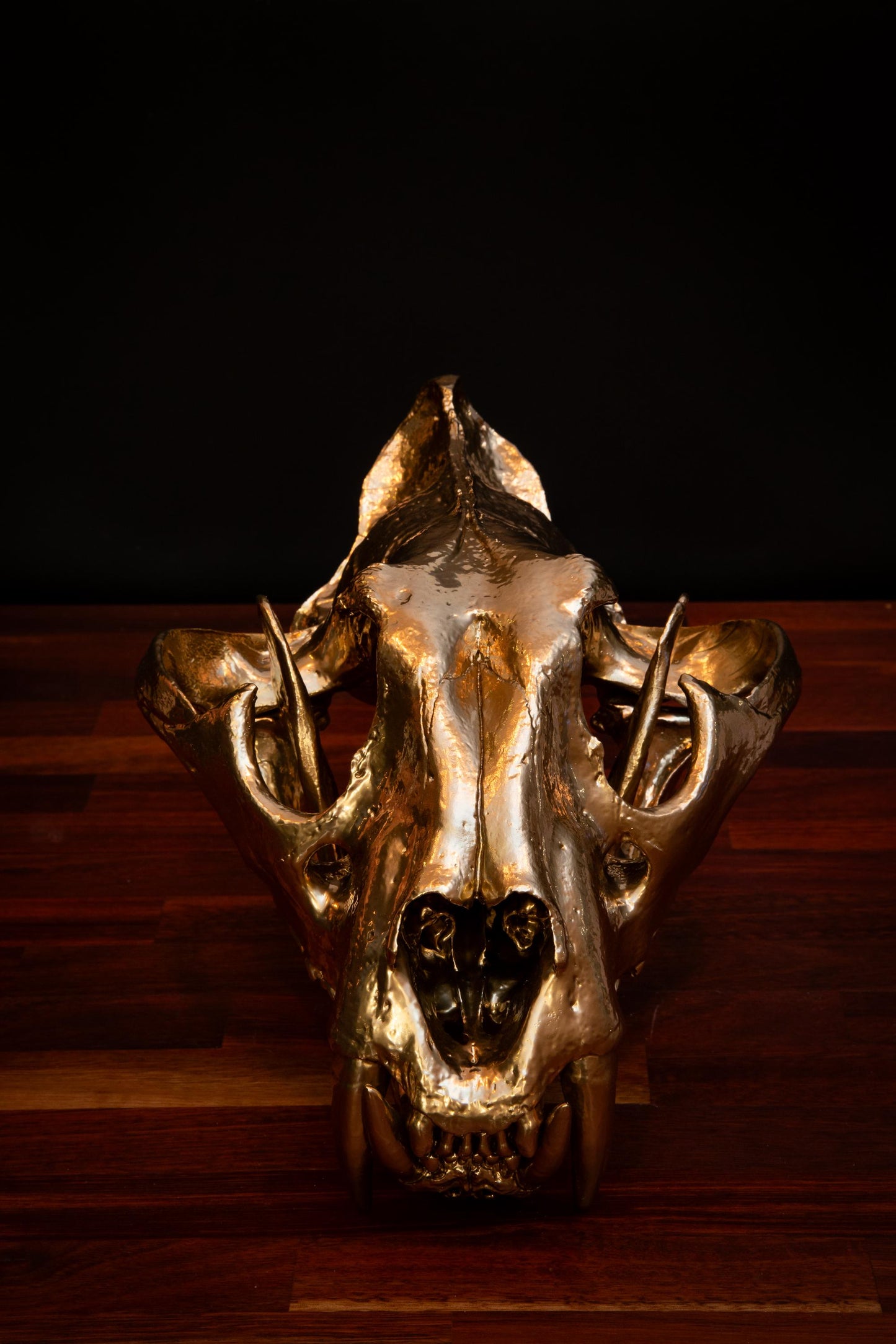 Gold Tiger Skull Replica – Full-Sized Decorative Display Piece