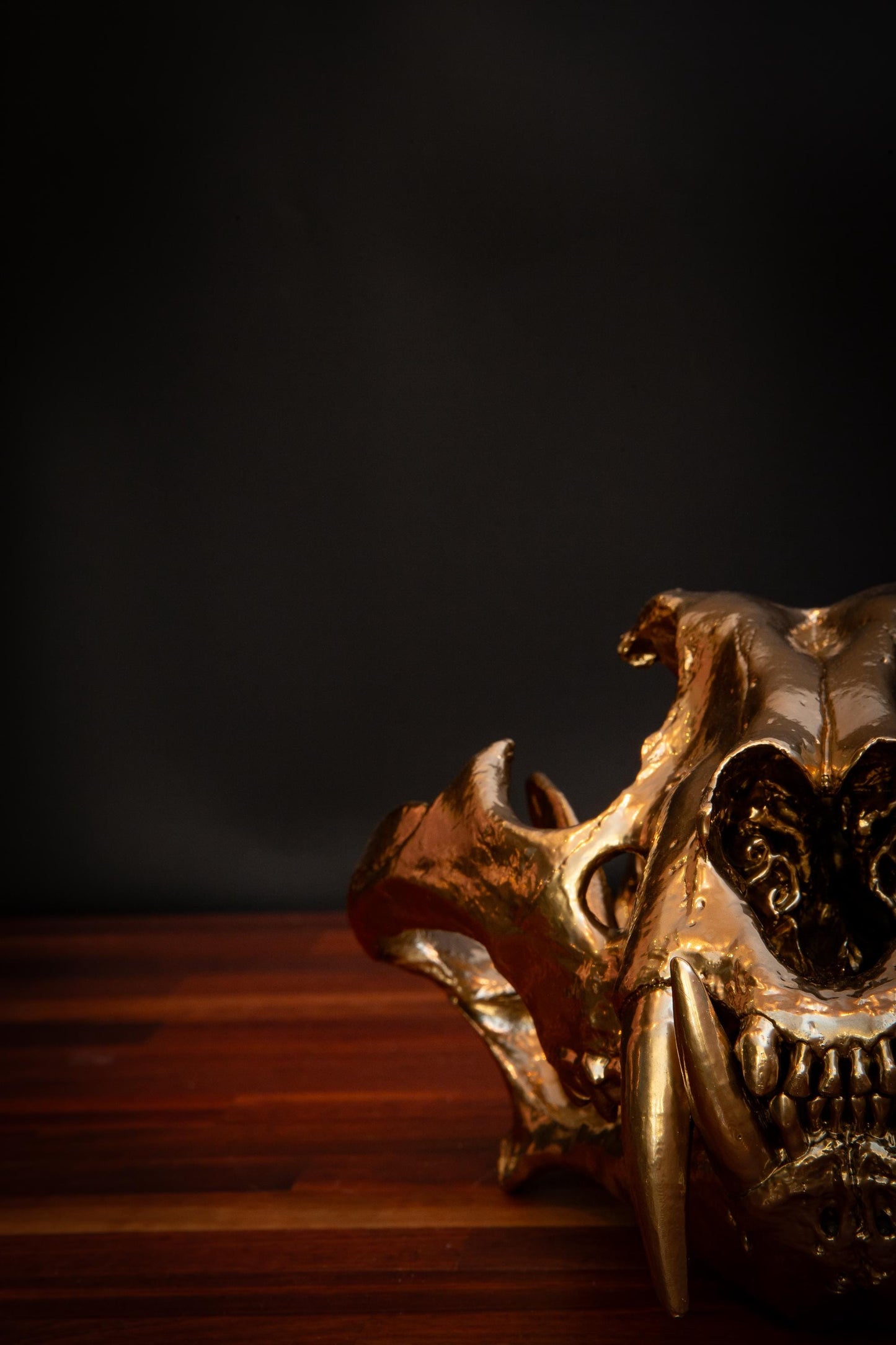 Gold Tiger Skull Replica – Full-Sized Decorative Display Piece