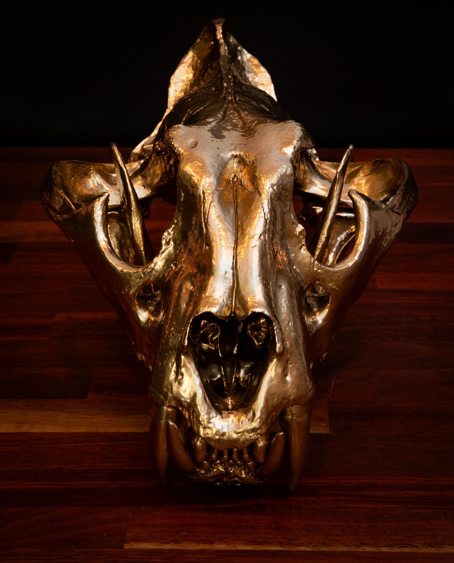 Gold Tiger Skull Replica – Full-Sized Decorative Display Piece