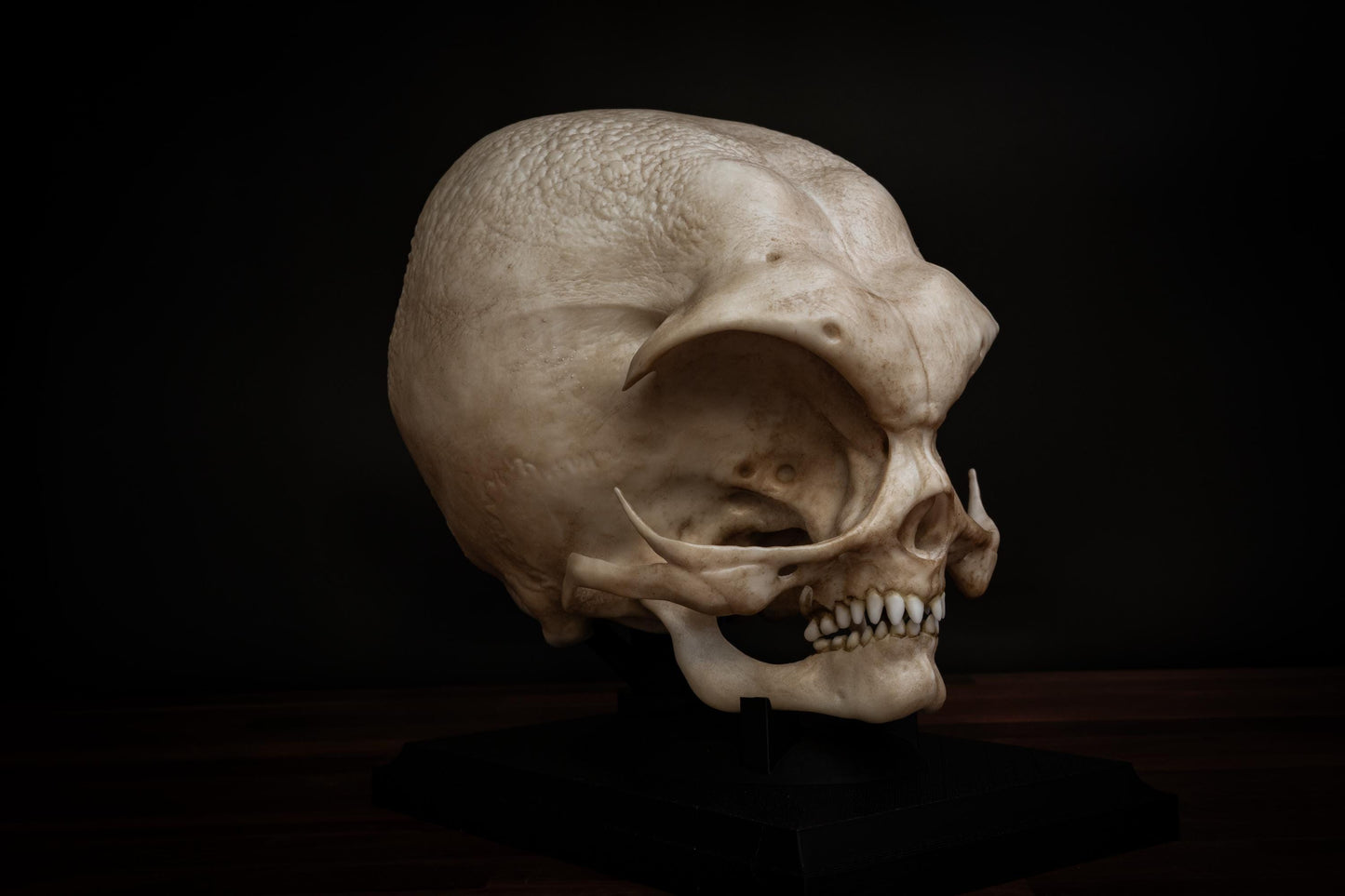 Grey Alien Skull Replica – Life-Sized Mythical Display Piece