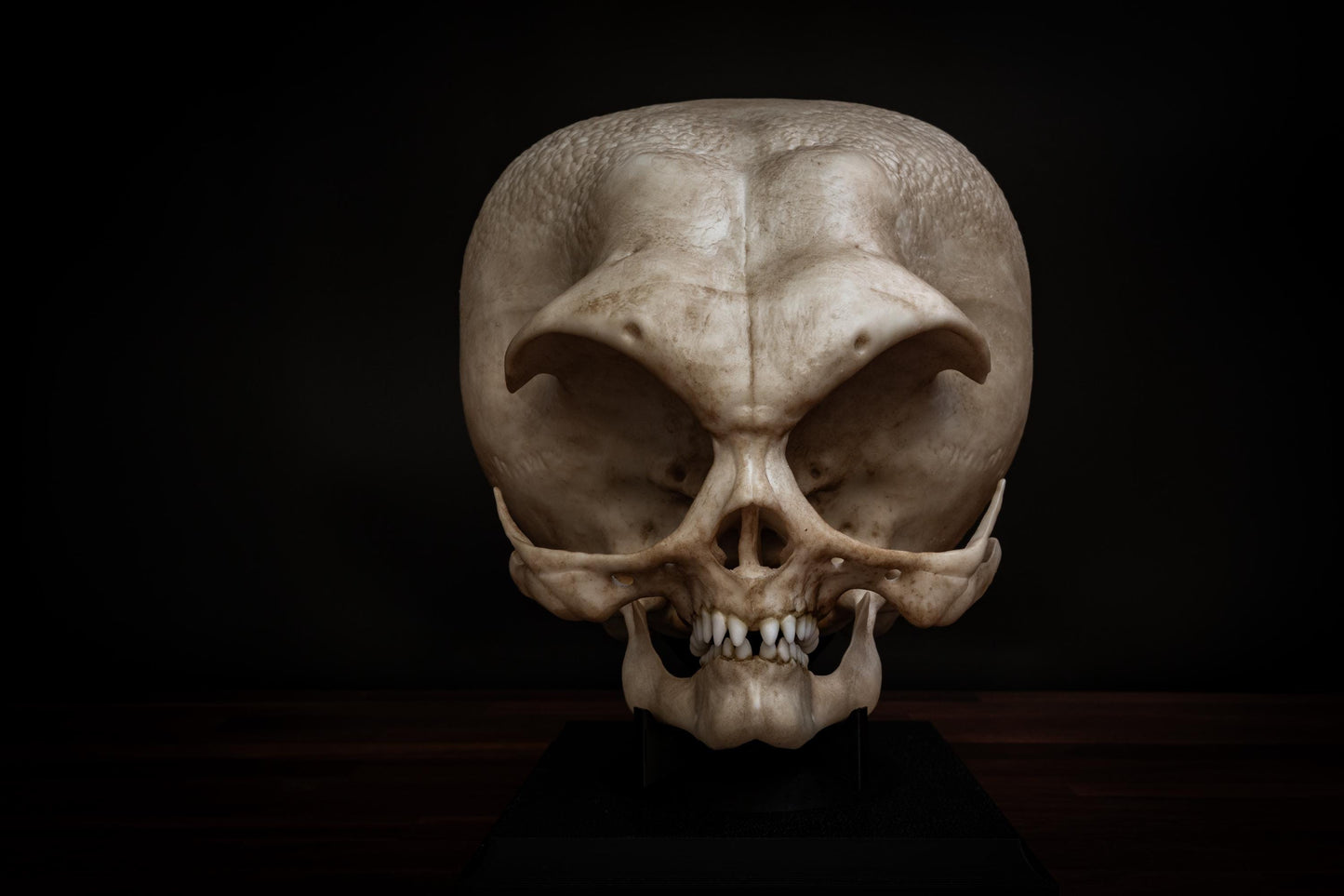 Grey Alien Skull Replica – Life-Sized Mythical Display Piece