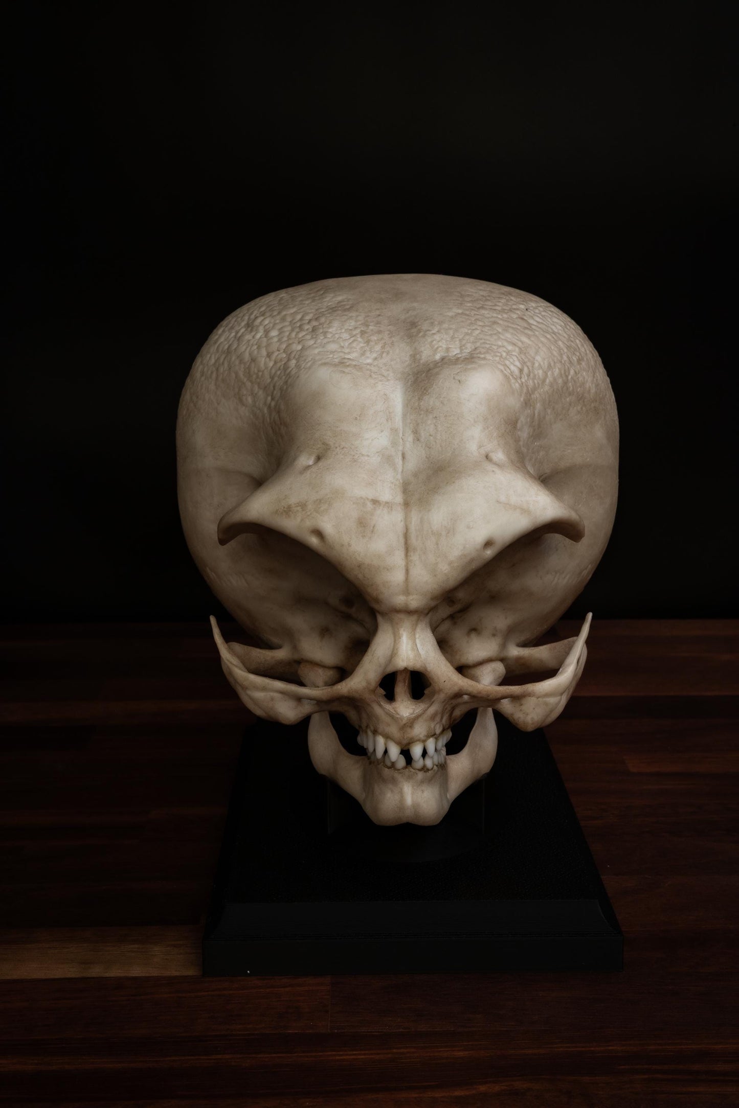 Grey Alien Skull Replica – Life-Sized Mythical Display Piece